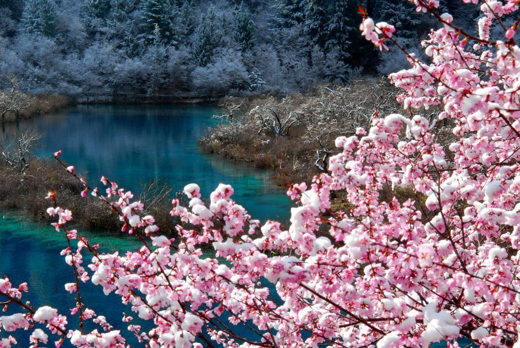 Sheraton Jiuzhaigou Resort ภายนอก รูปภาพ